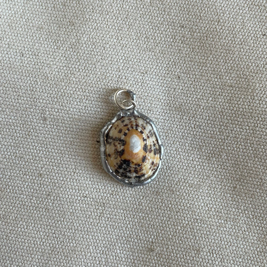Handmade Shell Pendant, Coastal Jewellery Inspired by the British Shore