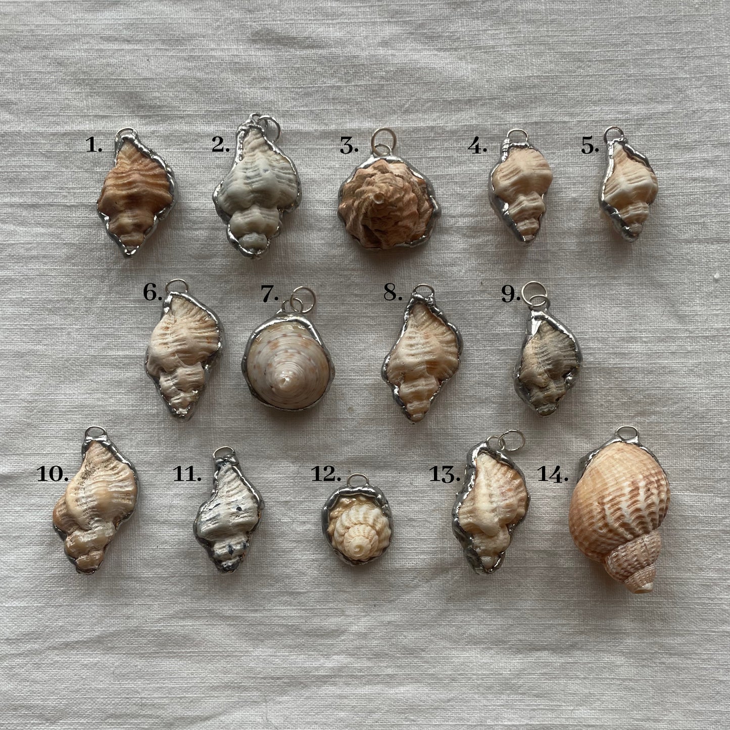 Shell and silver pendant whelk